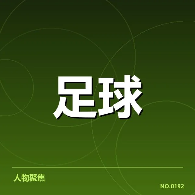 财务数据与具体确认情况